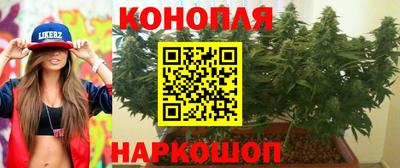 Альфа ПВП Ипатово