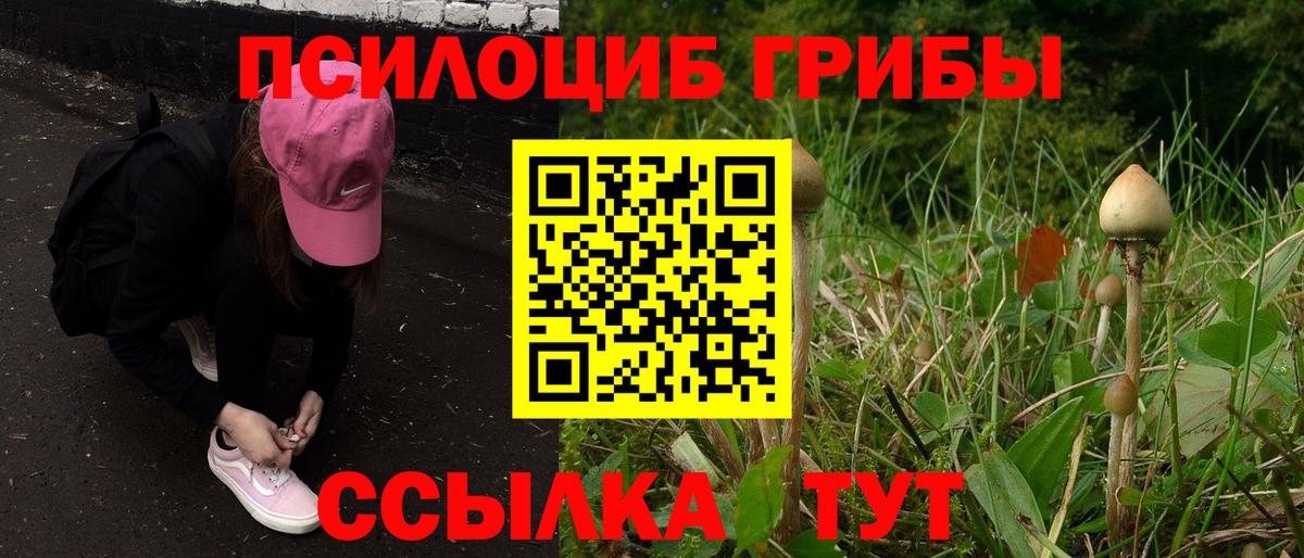 Галлюциногенные грибы Cubensis  Вход с VPN  Якутск 